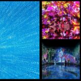 チームラボプラネッツ TOKYO DMMの割引券やクーポンを使ってお得に楽しむ方法！